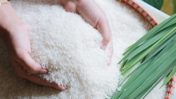 Định vị thương hiệu gạo Việt: Thoát khỏi cuộc đua về giá, kiến tạo "sân chơi riêng"