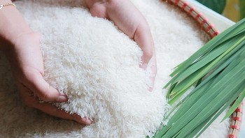 Định vị thương hiệu gạo Việt: Thoát khỏi cuộc đua về giá, kiến tạo "sân chơi riêng"