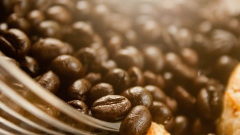 Giá cà phê hôm nay 14/8: Tăng dựng đứng, thị trường trong nước và thế giới đồng loạt bùng nổ