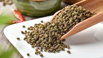 Giá hồ tiêu hôm nay 15/8: Thị trường ổn định chờ cú hích, chuyên gia nói gì?