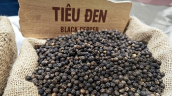 Nhiều lô hàng hồ tiêu xuất khẩu bị ách tắc, chờ giấy chứng nhận y tế