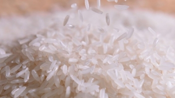 Philippines tạm ngưng nhập gạo: Xuất khẩu Việt Nam rơi vào thế khó