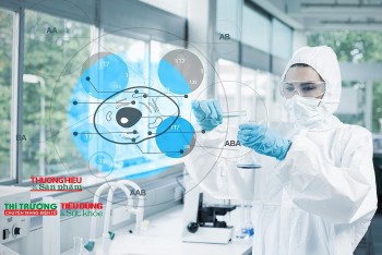 Tổng điều tra kinh tế năm 2026: Nền tảng vững chắc cho chính sách phát triển