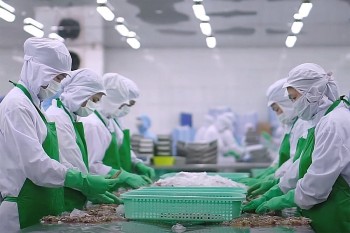 Doanh nghiệp Việt thích ứng chính sách thuế mới của Mỹ