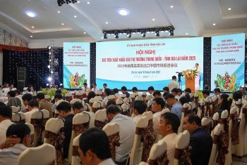 Hội nghị kết nối giao thương Gia Lai - Trung Quốc: Nhiều kỳ vọng cho nông sản địa phương