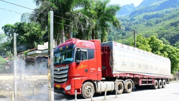 Tăng cường kiểm dịch tại cửa khẩu, ngăn chặn dịch Chikungunya xâm nhập Việt Nam
