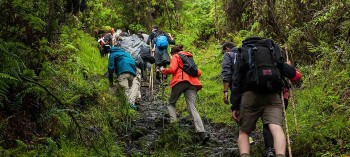 Hành trang đi rừng từ a-z để đảm bảo an toàn tối đa