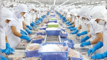 Nông sản Việt tại EU: Khai thác cơ hội, vượt qua thách thức