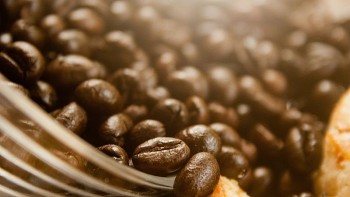 Giá cà phê hôm nay 21/8: Tăng phi mã vượt 121.000 đồng/kg, thị trường thế giới "dậy sóng"