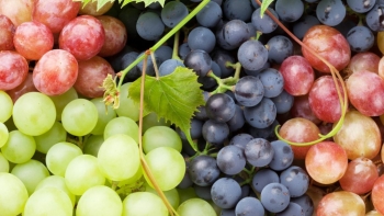 Nho xanh, nho đỏ hay nho tím giàu dinh dưỡng hơn?