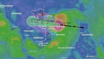 Bão số 5 giật cấp 16: Ảnh hưởng thế nào đến sức khỏe cộng đồng?