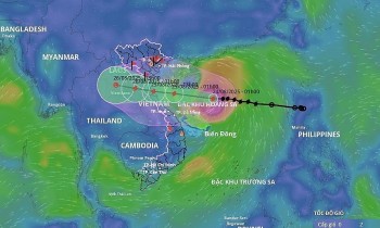 Bão số 5 giật cấp 16: Ảnh hưởng thế nào đến sức khỏe cộng đồng?