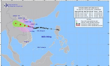 Bão Kajiki duy trì sức gió 166km/h, dự báo đổ bộ vào Thanh Hóa - Nghệ An chiều nay