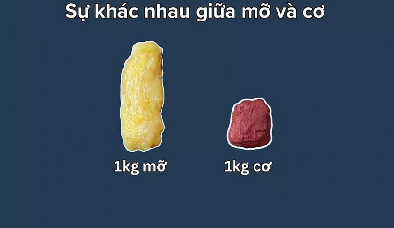 1kg mỡ và 1kg cơ nặng như nhau nhưng chiếm diện tích hoàn toàn khác biệt.