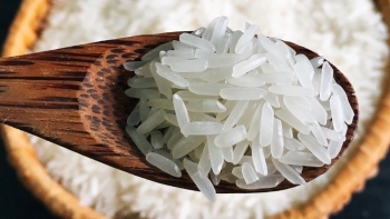 Giá gạo Việt Nam cao nhất thế giới: Thành quả từ chiến lược nâng tầm chất lượng