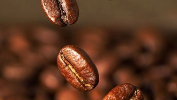 Giá cà phê hôm nay 29/8: Tăng phi mã, áp sát mốc 124.000 đồng/kg