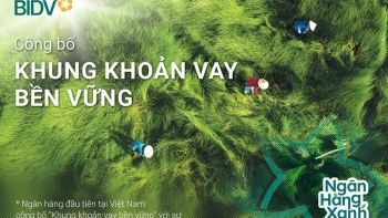 BIDV vào Top 20 cổ phiếu phát triển bền vững nhất Việt Nam lần thứ II liên tiếp