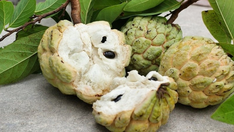 Nếu bạn chỉ ăn 1-2 quả na mỗi ngày, lượng calo nạp vào hoàn toàn có thể kiểm soát được. 