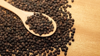 80 năm Việt Nam: Từ quốc gia đói nghèo trở thành cường quốc xuất khẩu