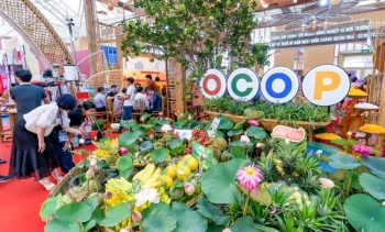 Các gian hàng sản phẩm thiên nhiên, OCOP tại Triển lãm thành tựu 80 năm