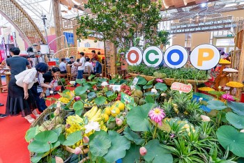 Các gian hàng sản phẩm thiên nhiên, OCOP tại Triển lãm thành tựu 80 năm