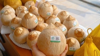 Xuất khẩu dừa Việt Nam lọt top 5 thế giới