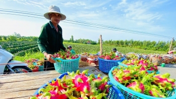 Xuất khẩu nông sản tăng tốc về đích, hướng tới kỷ lục mới