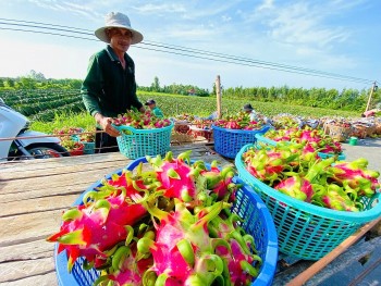 Xuất khẩu nông sản tăng tốc về đích, hướng tới kỷ lục mới