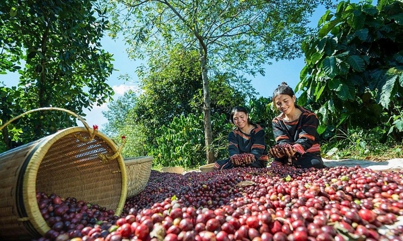 FTA và chính sách: Chìa khóa tăng trưởng xuất khẩu Việt Nam