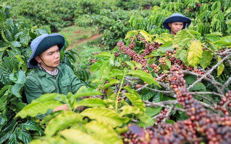 FTA và chính sách: Chìa khóa tăng trưởng xuất khẩu Việt Nam