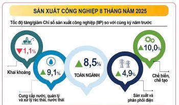 Sản xuất công nghiệp tiếp tục tăng trưởng, 34 địa phương đều ghi nhận khởi sắc