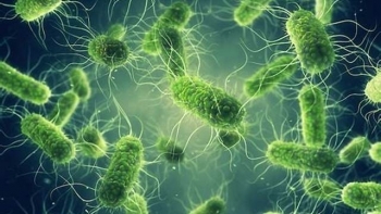 Dịch tả toàn cầu bùng phát phức tạp: Bộ Y tế cảnh báo nguy cơ xâm nhập Việt Nam