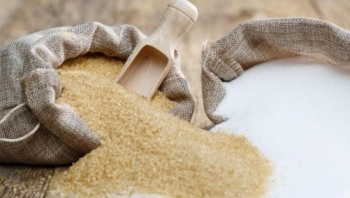 Sản lượng đường Việt Nam tăng mạnh trong niên vụ 2024-2025