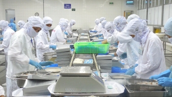 Doanh nghiệp Việt Nam cần chuẩn xanh để khai thác EFTA