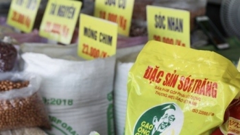 Thủ tướng chỉ đạo hàng loạt giải pháp đồng bộ nhằm thúc đẩy xuất khẩu, ổn định thị trường gạo