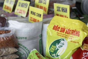 Thủ tướng chỉ đạo hàng loạt giải pháp đồng bộ nhằm thúc đẩy xuất khẩu, ổn định thị trường gạo