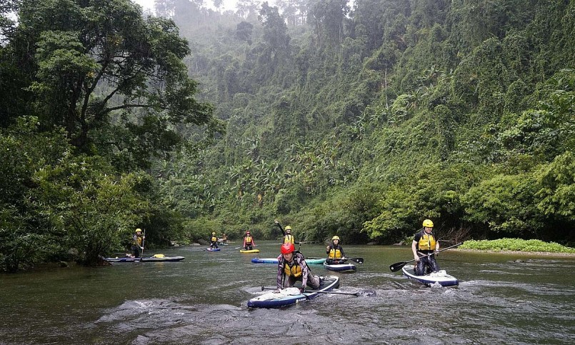 Rừng Quốc gia Pù Mát là địa điểm du lịch nổi tiếng tại Nghệ An