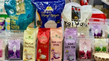 Nông nghiệp Nam Bộ 2025: Vượt thách thức, hướng tới chuỗi giá trị bền vững