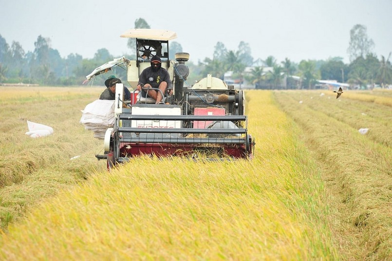  Ảnh: Lê Hoàng Vũ.