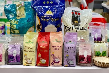 Nông nghiệp Nam Bộ 2025: Vượt thách thức, hướng tới chuỗi giá trị bền vững