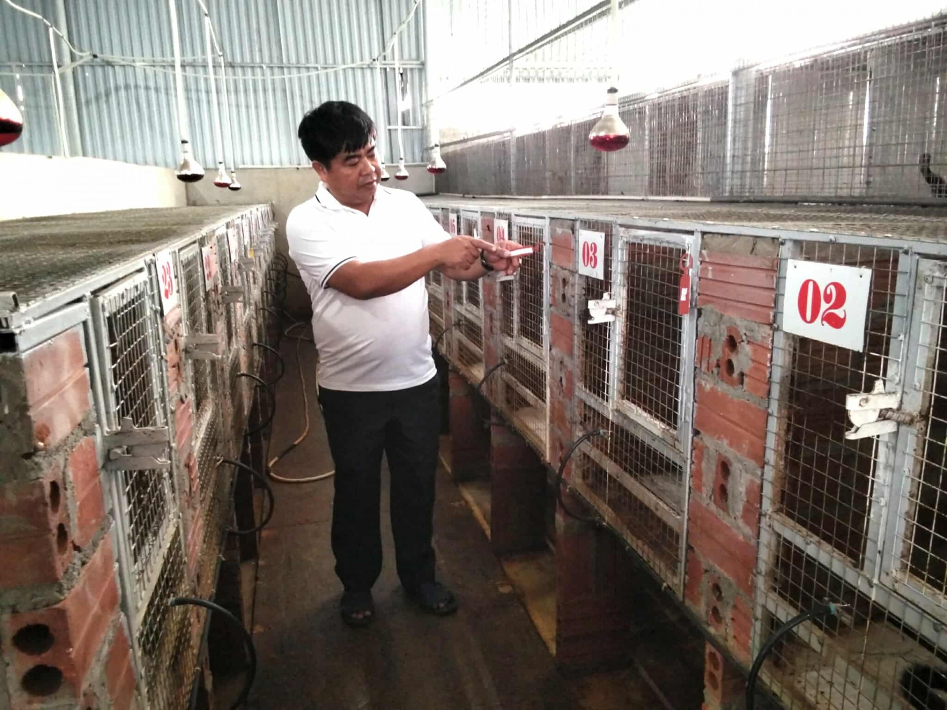 Từ vườn lan bão hòa đến trại cầy hương tiền tỷ “Hành trình ngược dòng của người nông dân xứ Thanh”