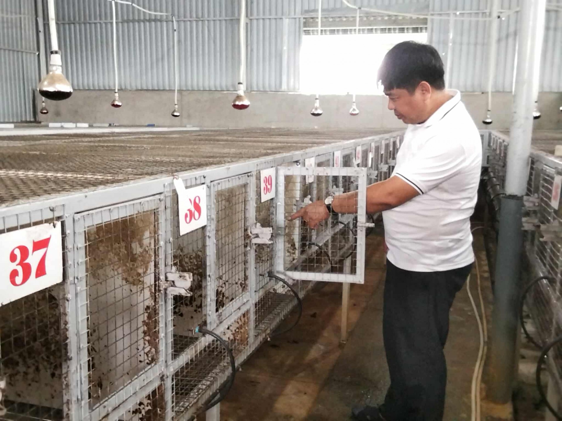 Từ vườn lan bão hòa đến trại cầy hương tiền tỷ “Hành trình ngược dòng của người nông dân xứ Thanh”