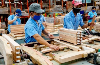 Xuất khẩu gỗ tăng tốc, cán mốc 11 tỷ USD chỉ trong 8 tháng năm 2025
