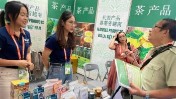 Nông sản Gia Lai trước cơ hội vàng tại CAEXPO 2025