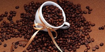 Giá nông sản hôm nay 13/9: Cà phê tiếp đà tăng mạnh, hồ tiêu giữ mốc cao