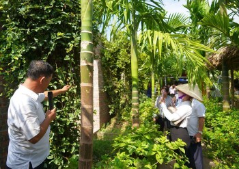 Du lịch nông nghiệp: Hướng đi mới cho kinh tế nông thôn