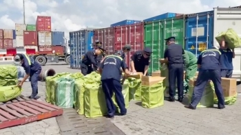 Siết quy định về tạm nhập, tái xuất để ngăn chặn gian lận thương mại