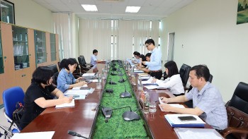 Hải Phòng nhân rộng mô hình sản xuất giống lúa nếp KING 6 thương phẩm