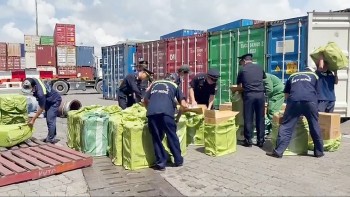 Siết quy định về tạm nhập, tái xuất để ngăn chặn gian lận thương mại