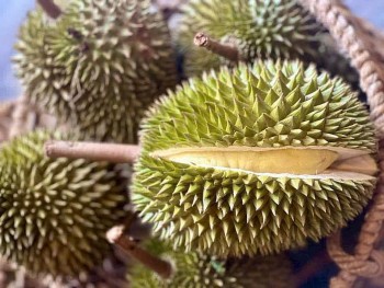 Trung Quốc siết chặt kiểm soát an toàn thực phẩm, nông sản Việt Nam đối mặt áp lực lớn